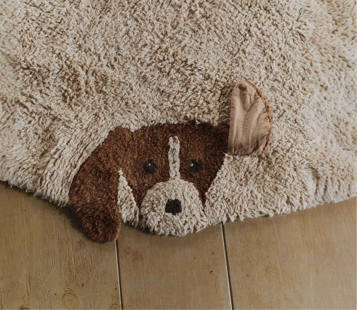Alfombra lavable para perros de Lorena Canals