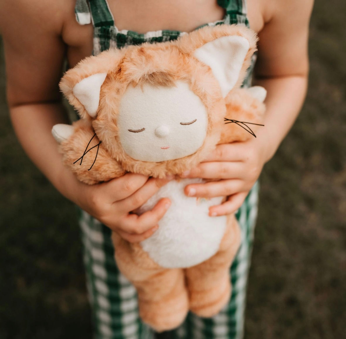 Cuddly cat from Olliella, color: tabby