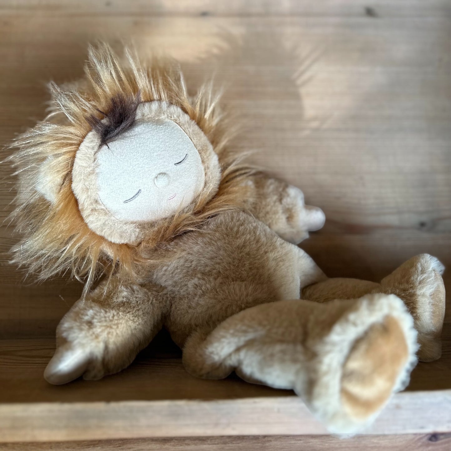El tierno león de Olliella