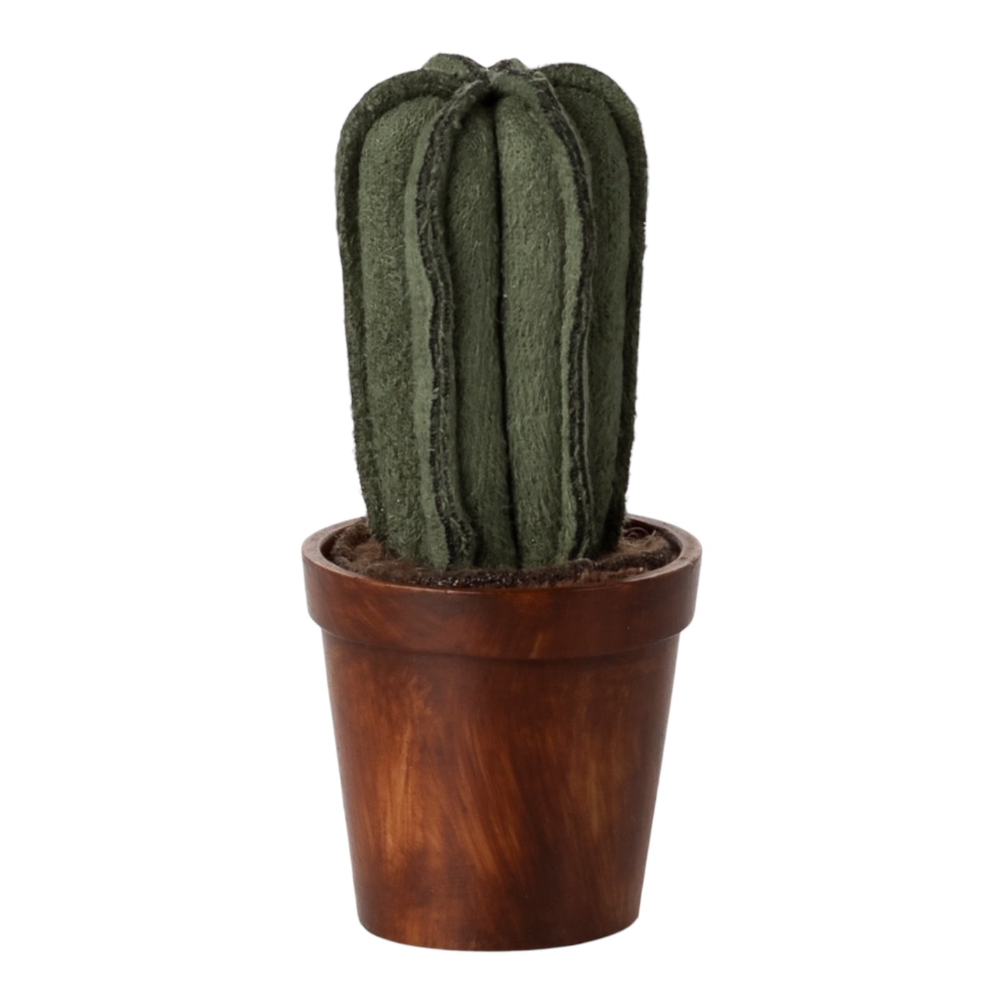 Blumentopf mit Kaktus